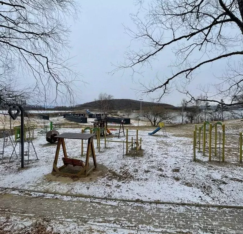 Дом в Приморский край, Артем ул. Муравьиная Бухта, 55 (18 м) - Фото 2