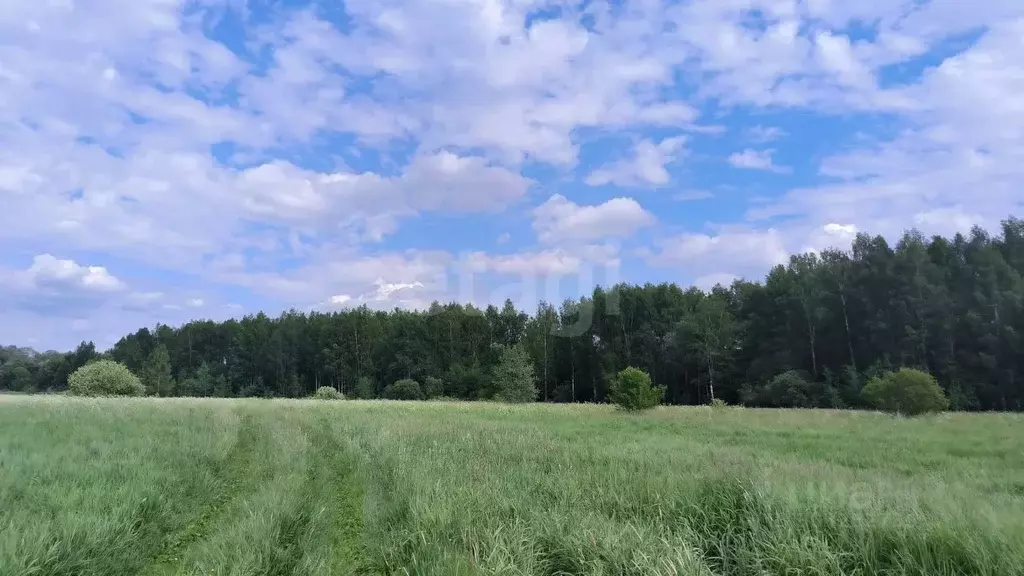 Участок в Московская область, Талдомский городской округ, д. ... - Фото 1