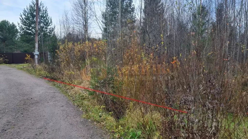 Участок в Ленинградская область, Выборгский район, Рощинское городское ... - Фото 0