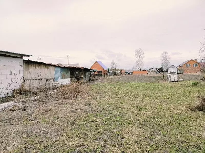 Участок в Новосибирская область, Новосибирский район, Станционный ... - Фото 2