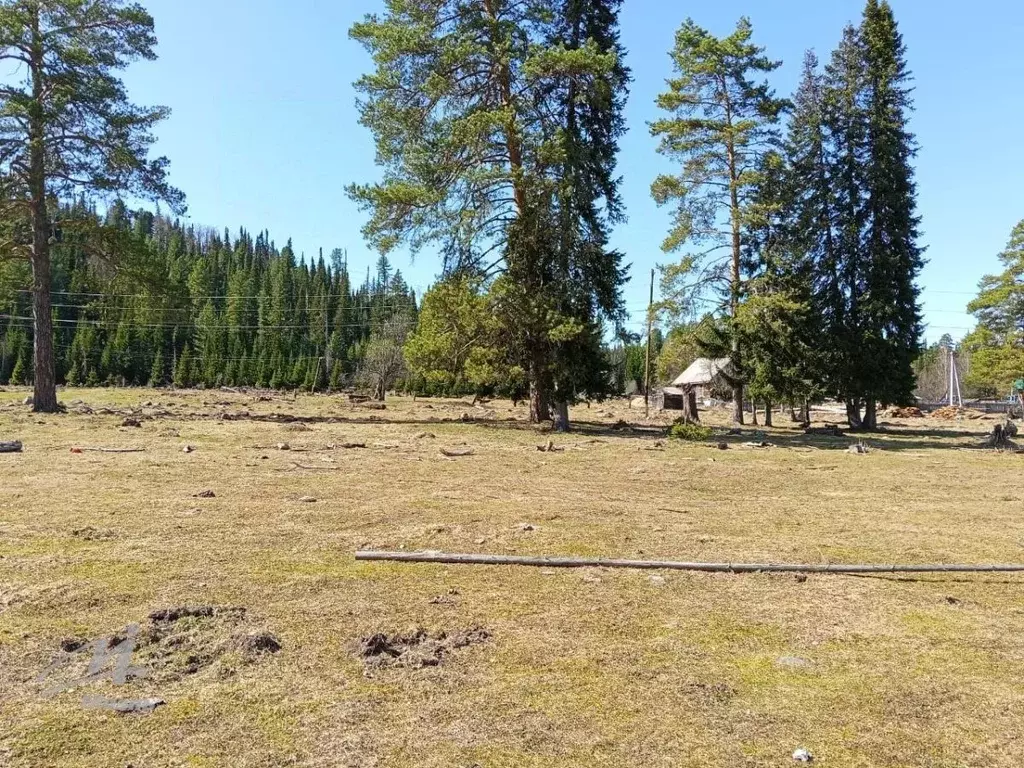 Участок в Алтай, Турочакский район, с. Кебезень ул. Береговая-Заречье ... - Фото 0
