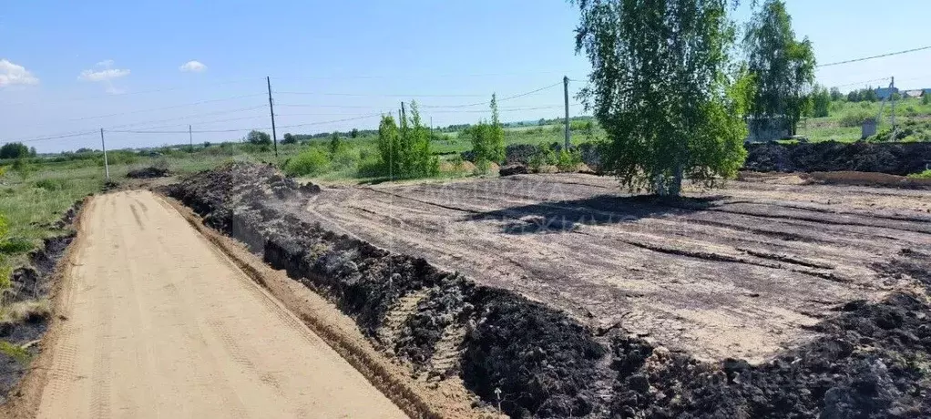 Участок в Тюменская область, Тюменский район, с. Червишево ул. ... - Фото 0