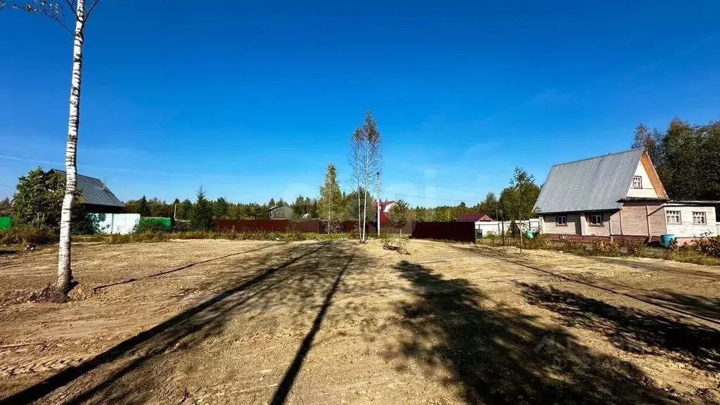 Участок в Вологодская область, Череповецкий район, д. Шайма, Звезда ... - Фото 1