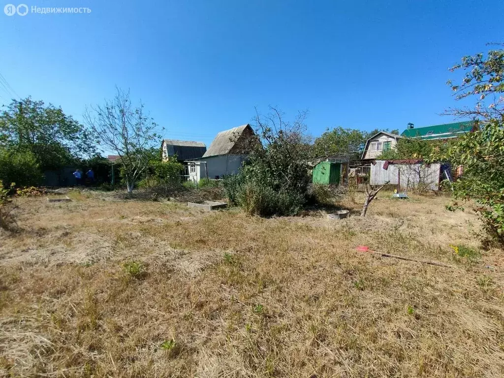 Участок в Синявское сельское поселение, хутор Мержаново, СНТ Кедр, 142 ... - Фото 2