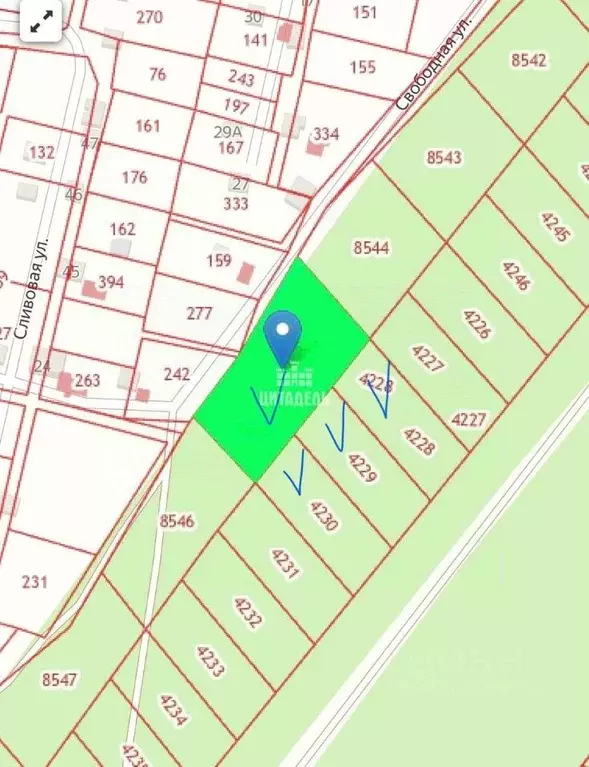 Участок в Воронежская область, Рамонский район, с. Новоживотинное  ... - Фото 2