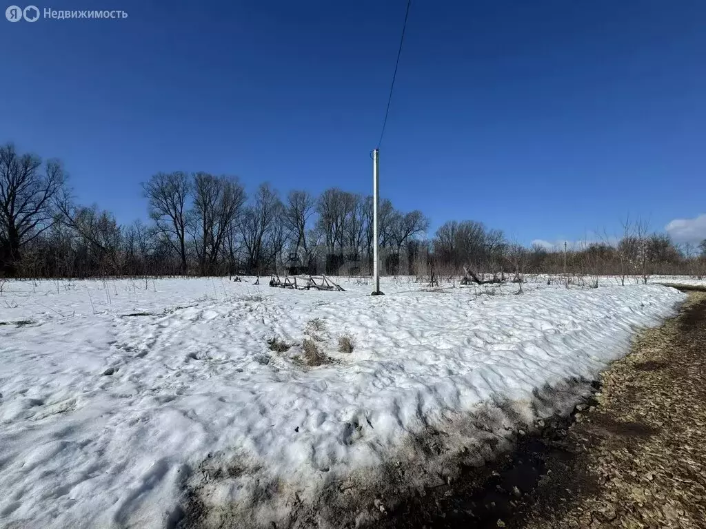 Участок в Республика Марий Эл, городской округ Йошкар-Ола, деревня ... - Фото 2