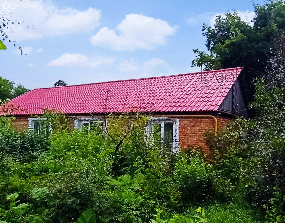 Дом в село Красная Башкирия, улица Карла Маркса, 1 (45.1 м) - Фото 1