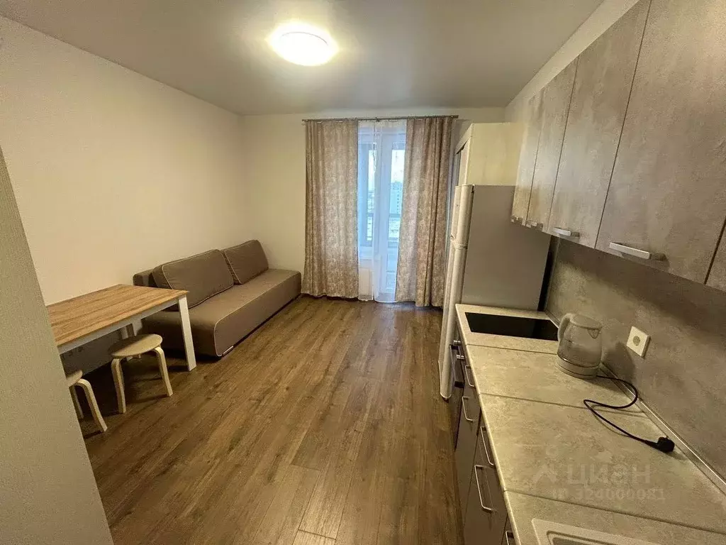 Студия Санкт-Петербург пос. Шушары, просп. Старорусский, 5к2 (25.0 м) - Фото 1