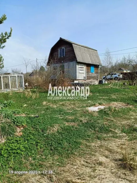 Участок в Ленинградская область, Кировский район, Приладожское ... - Фото 1