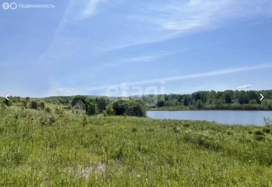 Участок в Вологодская область, Кирилловский муниципальный округ, ... - Фото 1