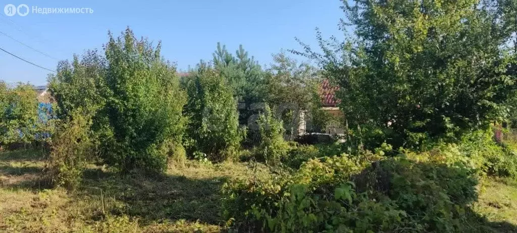 Участок в Светлогорск, СНТ Радуга, 10-я линия (4.55 м) - Фото 1