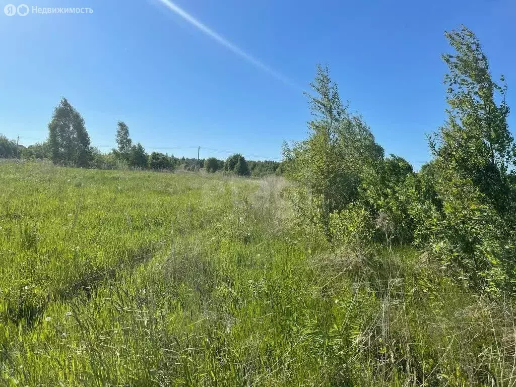 Участок в Ярославский муниципальный округ, посёлок Ченцы (17.5 м) - Фото 0