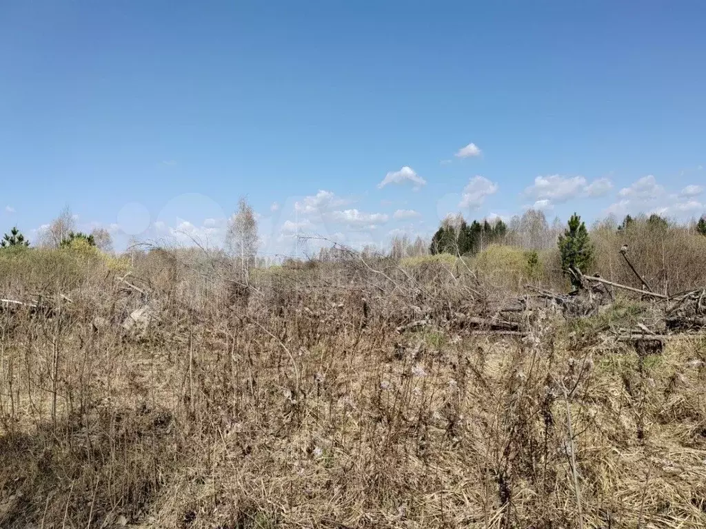 Участок 8 сот. (СНТ, ДНП) - Фото 0