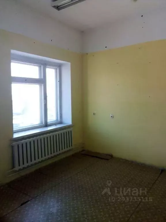 Помещение свободного назначения в Новосибирская область, с. Здвинск ... - Фото 2
