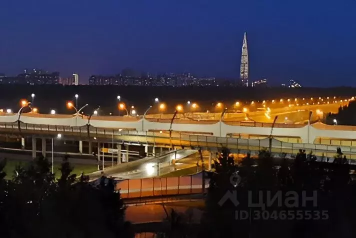 1-к кв. Санкт-Петербург Планерная ул., 63к1 (27.0 м) - Фото 0