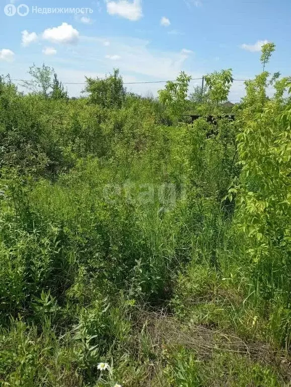 участок в самара, снт авиатор, 4-я линия, 46 (6 м) - Фото 0