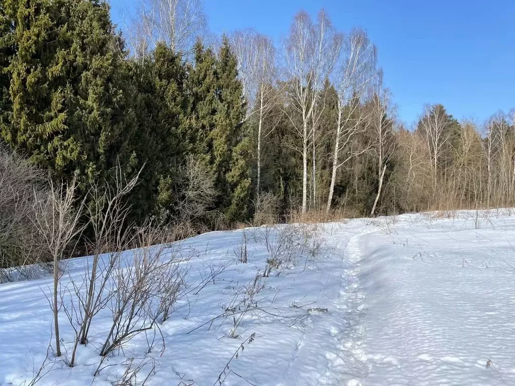 Участок в Московская область, Ступино городской округ, д. Канищево ул. ... - Фото 0