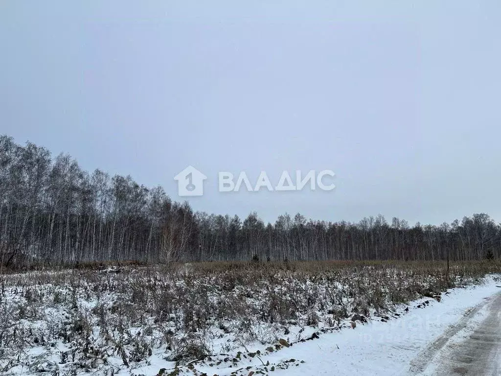 Участок в Челябинская область, Сосновский район, Кременкульское с/пос, ... - Фото 0