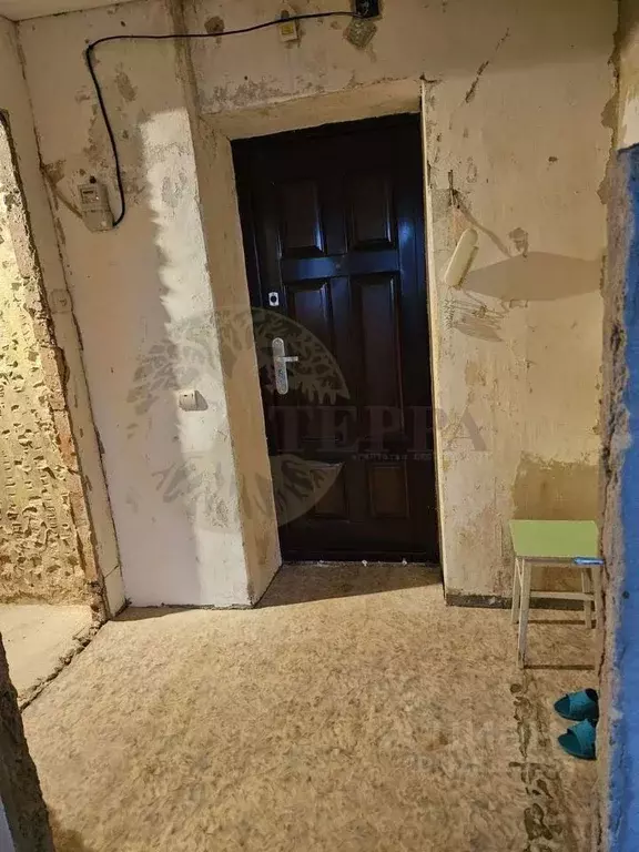 1-к кв. Воронежская область, Воронеж Баррикадная ул., 9 (34.1 м) - Фото 1