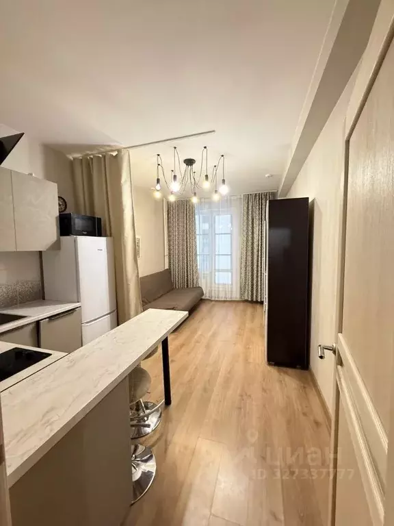 Студия Санкт-Петербург Пулковское ш., 14Е (24.6 м) - Фото 1