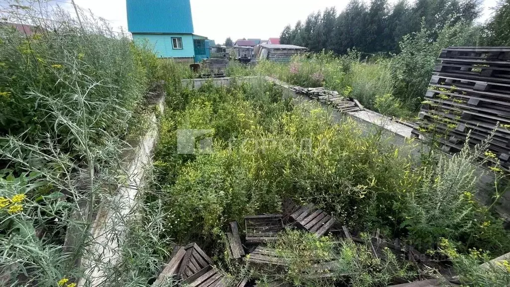 Участок в Новосибирская область, Чулым ул. Петра Полянского, 2А (10.0 ... - Фото 1