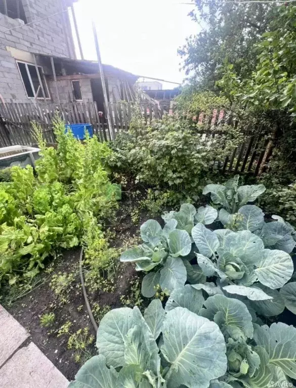 Участок в Красноярский край, Красноярск Алюминий СНТ, ул. Цветочная, ... - Фото 2