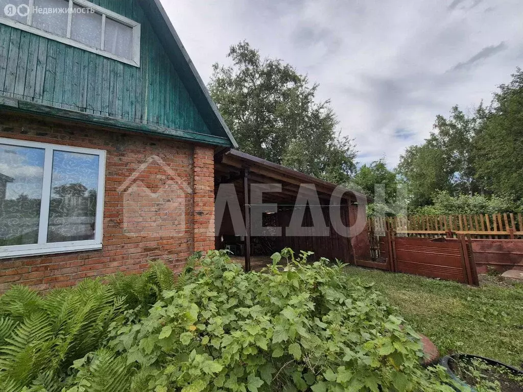 Дом в Омск, территория СОСН Биолог, 447 (42.9 м) - Фото 1