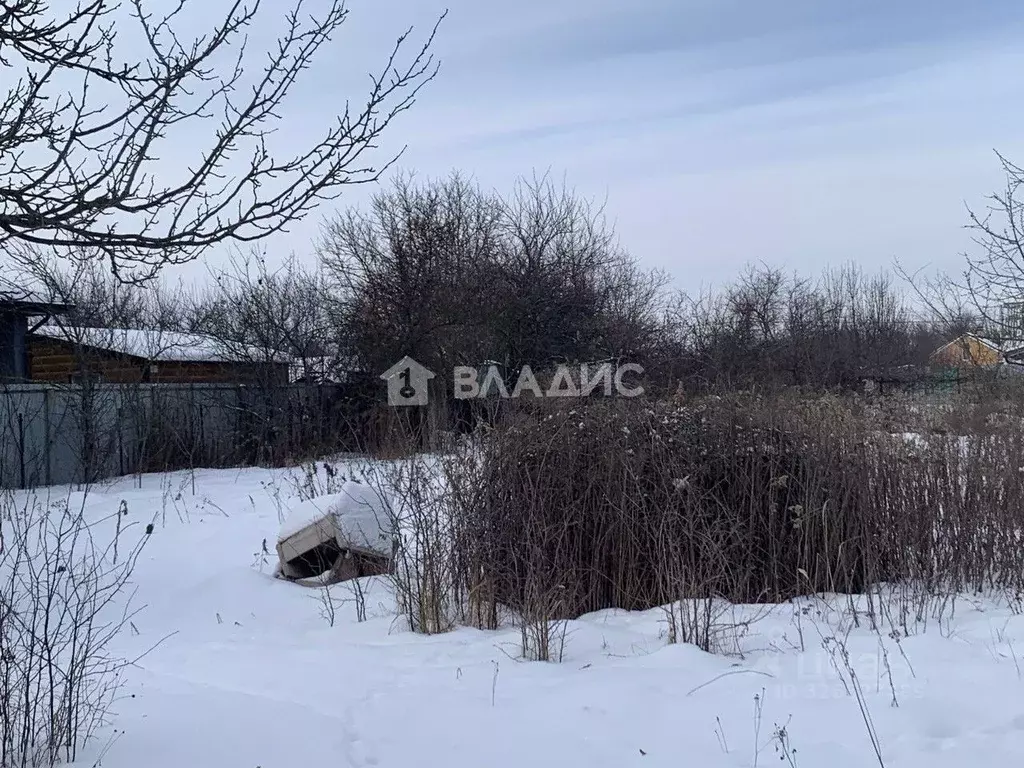 Участок в Воронежская область, Рамонский район, Айдаровское с/пос, ... - Фото 1