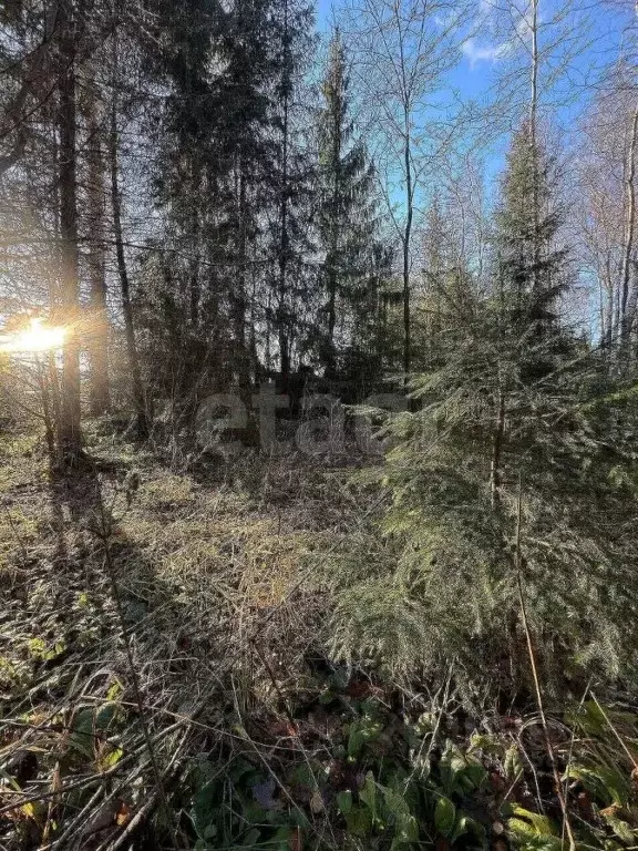 Участок в Московская область, Наро-Фоминский городской округ, Лесная ... - Фото 0