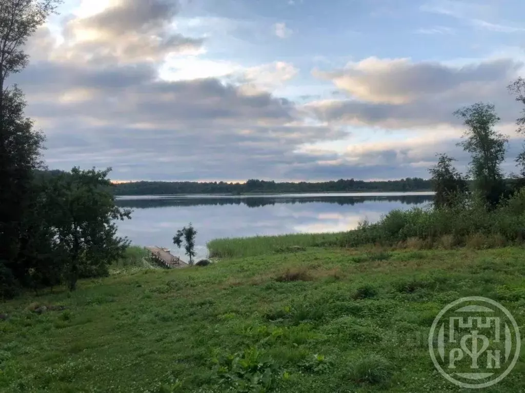 Дом в Псковская область, Себежское с/пос, д. Коклино  (67 м) - Фото 2