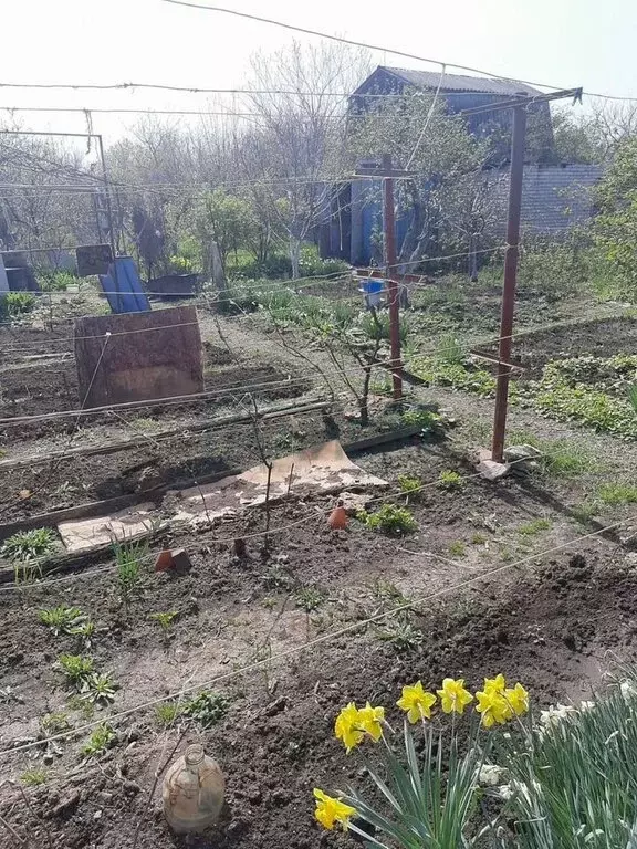 Участок в Красновка, Садовое товарищество Мичуринец, Виноградная улица ... - Фото 1
