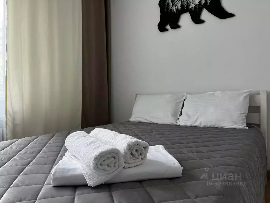 1-к кв. Красноярский край, Красноярск ул. Весны, 7 (16.0 м) - Фото 2