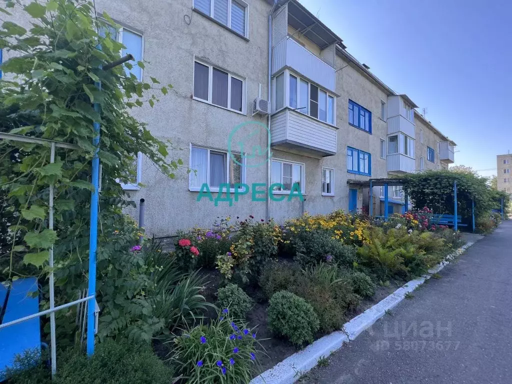 Белгородская Область П Чернянка Купить Дом
