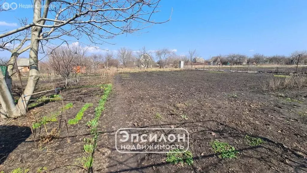 Участок в Курский район, Новопоселеновский сельсовет, СНТ Ягодка (10 ... - Фото 2