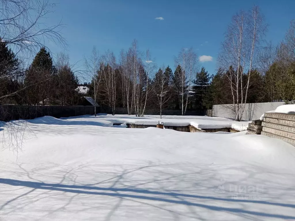 Участок в Московская область, Одинцовский городской округ, д. Сальково ... - Фото 1