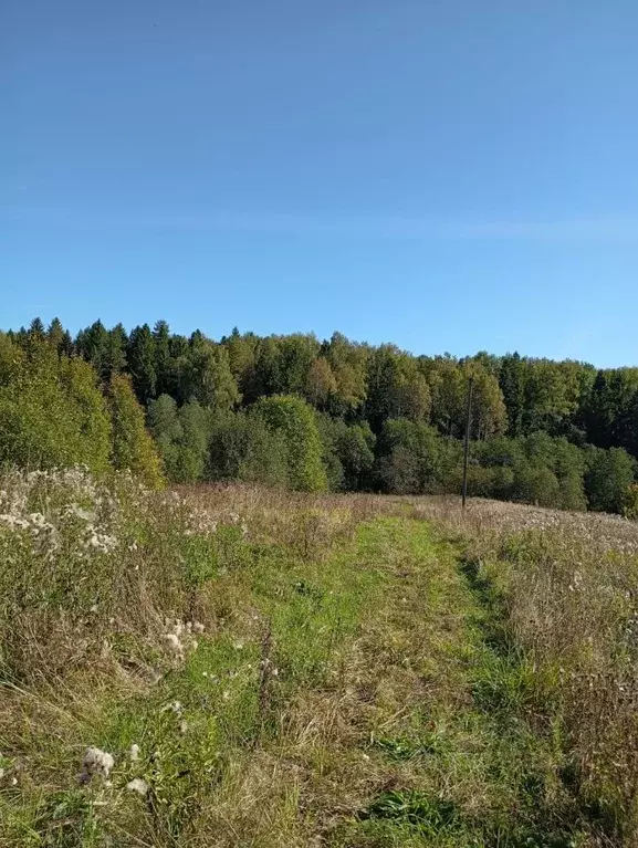 Участок в Вологодская область, Грязовецкий муниципальный округ, с. ... - Фото 0