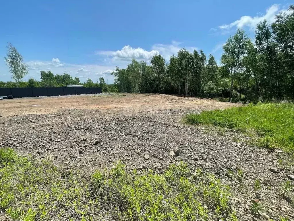 Участок в Хабаровский край, Хабаровск Концертная ул., 31 (10.7 сот.) - Фото 1