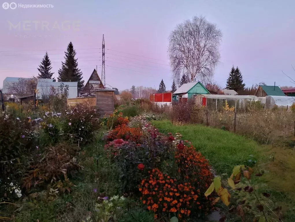 Участок в Новосибирск, садовое товарищество Звёздочка (5.4 м) - Фото 0