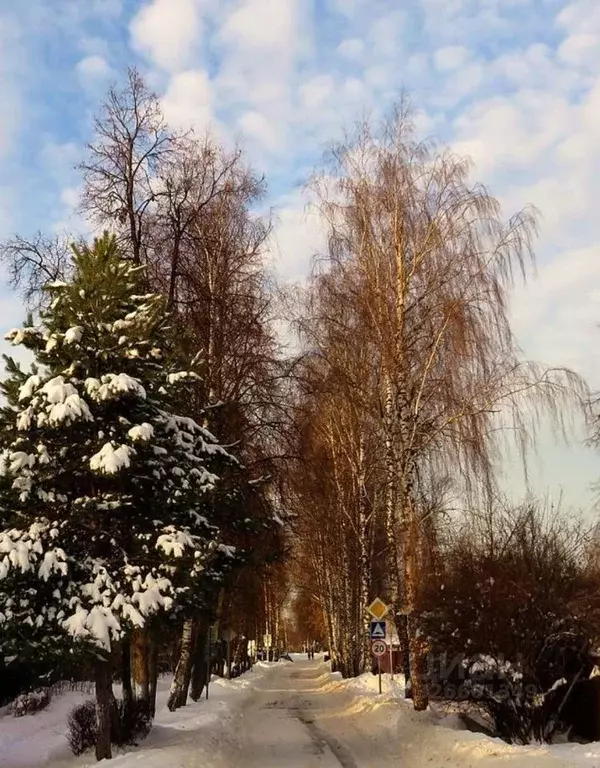 Участок в Московская область, Пушкинский городской округ, с. Тарасовка ... - Фото 1