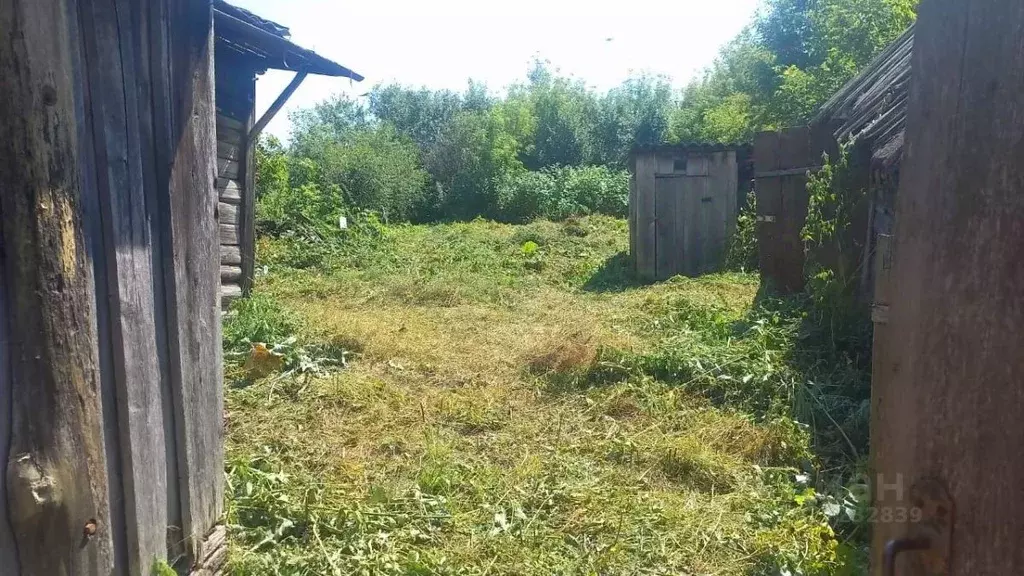 Участок в Татарстан, Камско-Устьинский район, Теньковское с/пос, с. ... - Фото 1