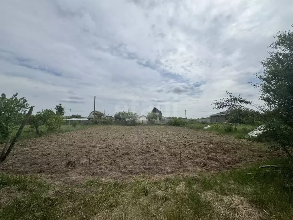 Участок в Брянская область, Брянский район, Новодарковичское с/пос, ... - Фото 1