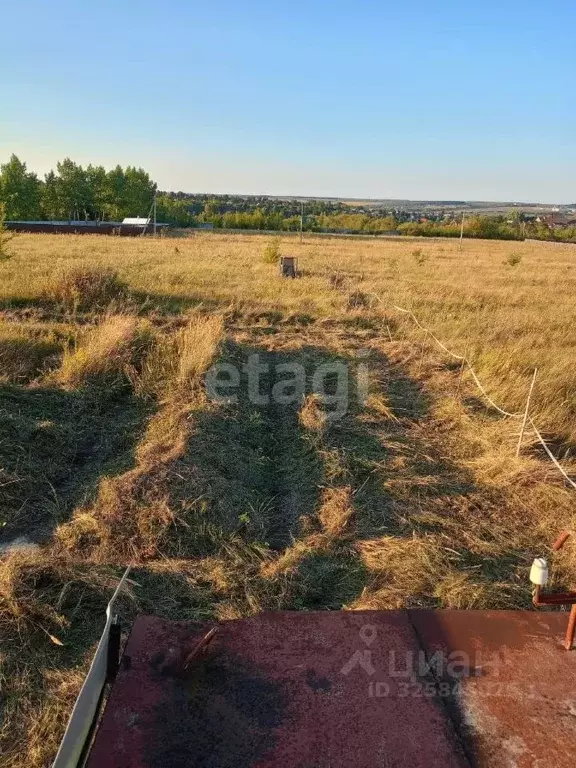 Участок в Воронежская область, Семилукский район, Губаревское с/пос, ... - Фото 2