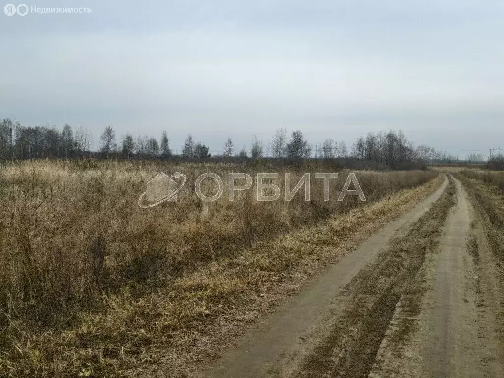 Участок в Тюменский муниципальный округ, село Борки (8300 м) - Фото 1