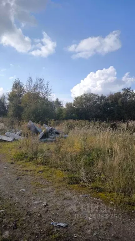 Участок в Калининградская область, Гурьевский муниципальный округ, ... - Фото 2