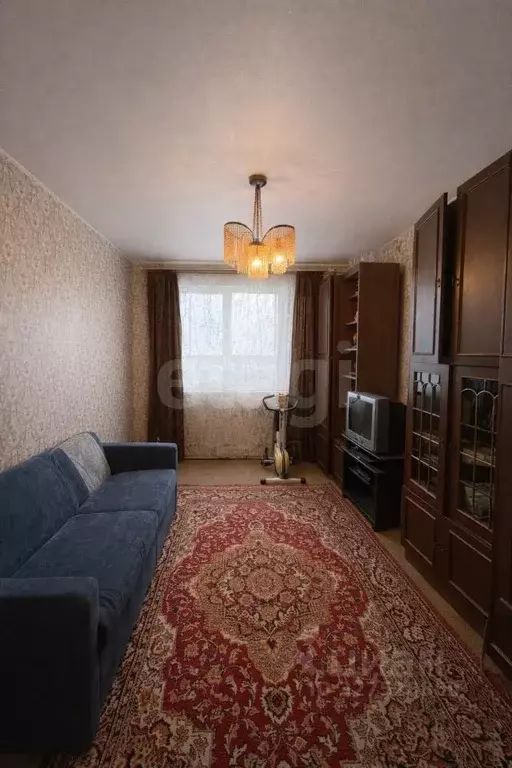 3-к кв. Ленинградская область, Тосненский район, Нурминское с/пос, д. ... - Фото 1