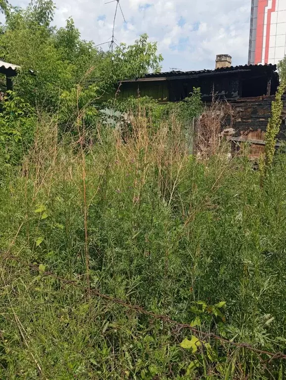 Участок в Красноярский край, Красноярск Николаевка мкр, ул. ... - Фото 1