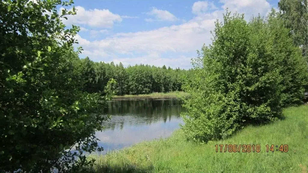 Участок в Нижегородская область, Богородский муниципальный округ, д. ... - Фото 0