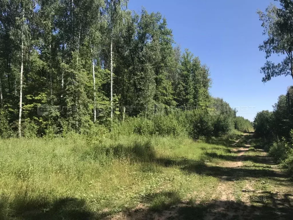 Участок в Татарстан, Казань Константиновка жилмассив, ул. Садовая (8.3 ... - Фото 2