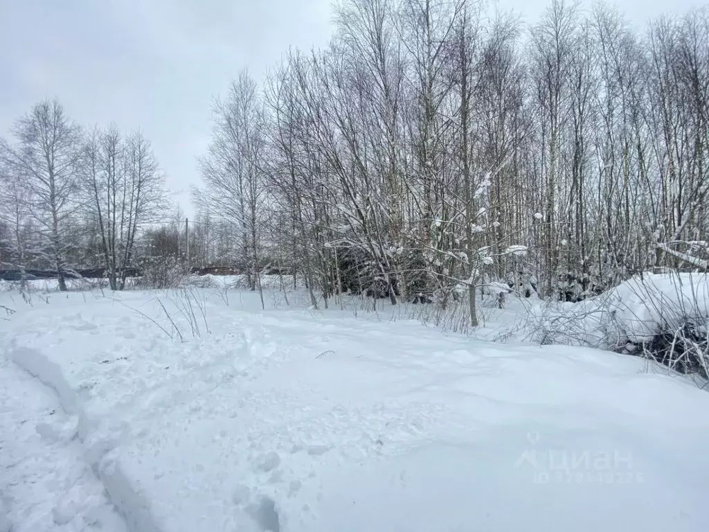 Участок в Московская область, Дмитровский муниципальный округ, ... - Фото 2