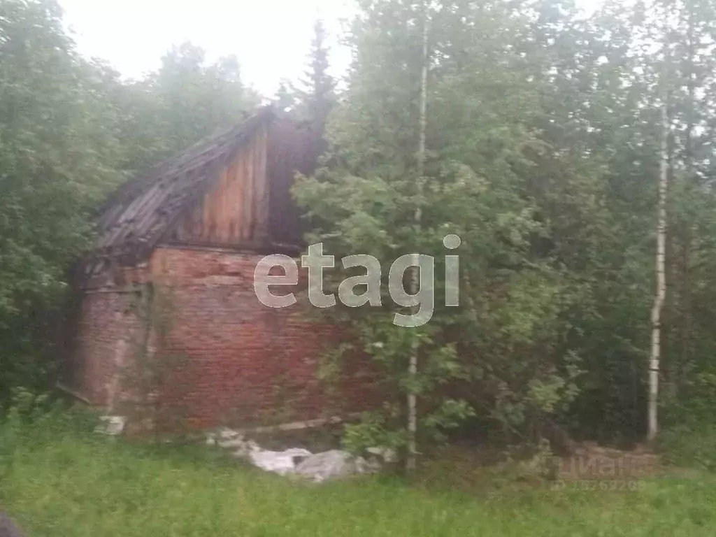 Помещение свободного назначения в Коми, Сыктывкар городской округ, ... - Фото 1